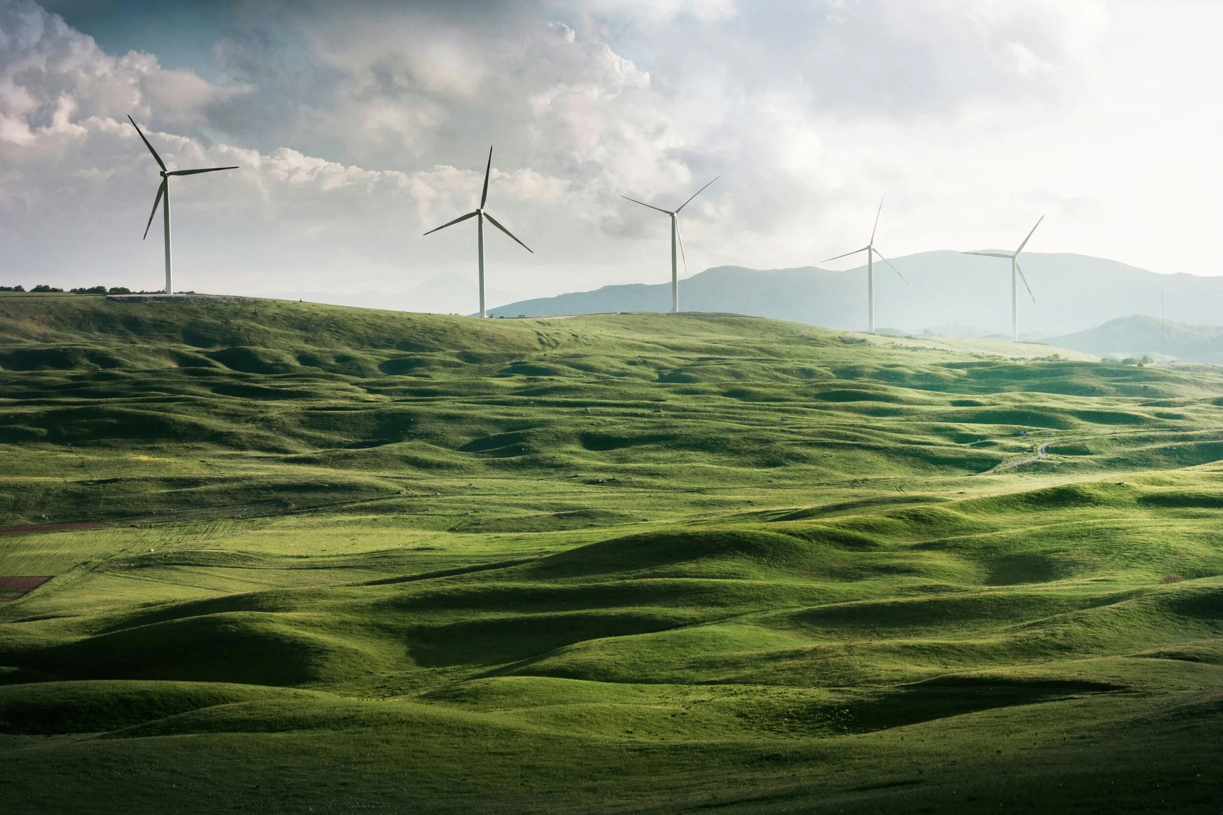 Business and investors urge the EU to set a greenhouse gas emissions reduction target of at least 90% by 2040